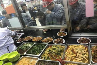 关爱员工暖人心，圣雄能源后勤服务中心多措并举提升餐饮服务质量